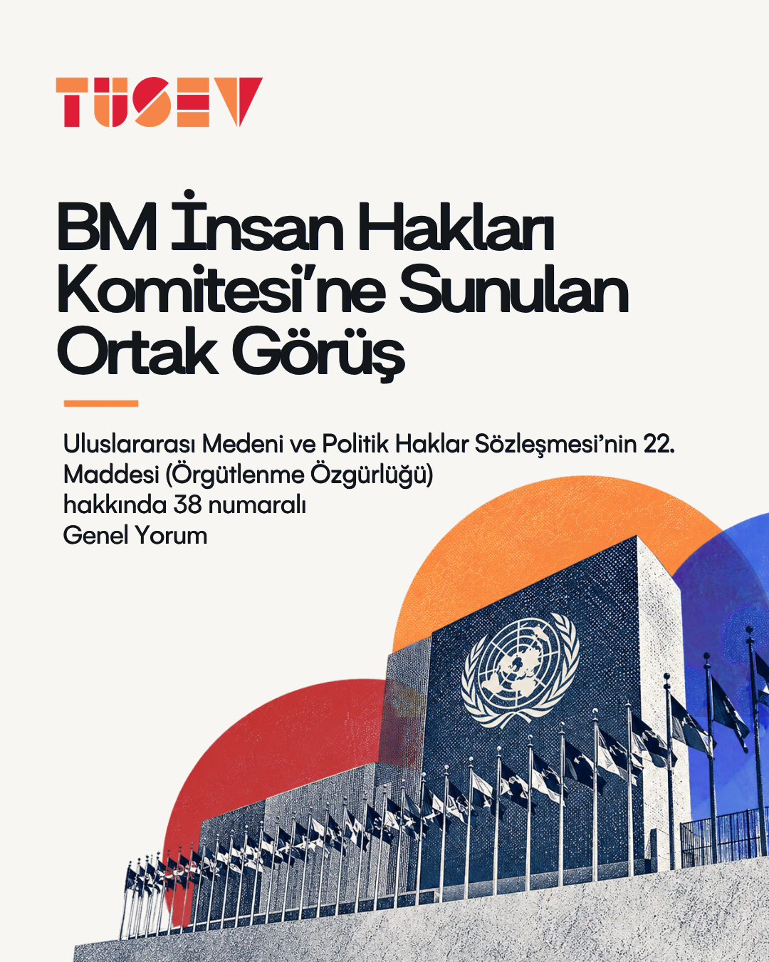 BM İnsan Hakları Komitesi’ne örgütlenme özgürlüğü hakkında ortak görüş sunduk
